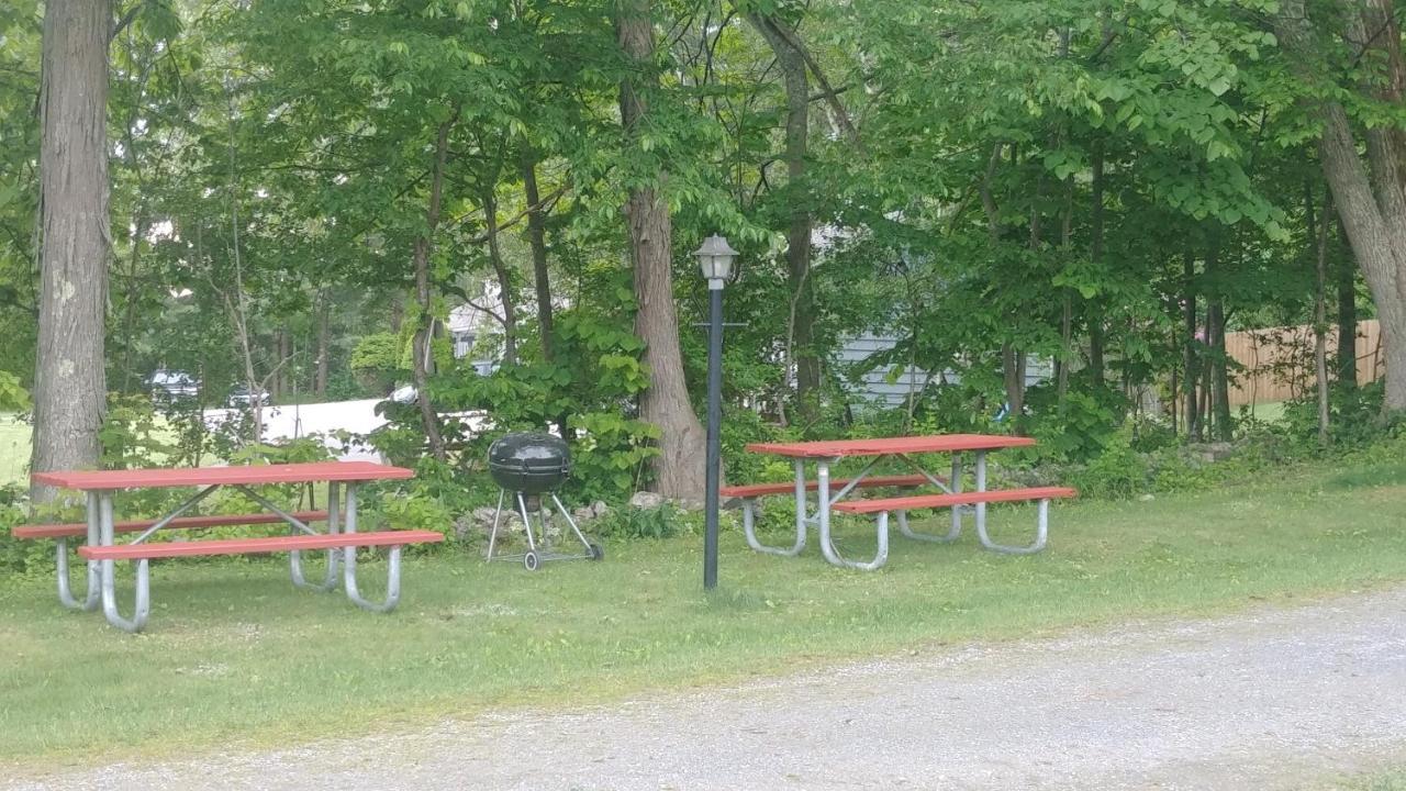 Serenity Motel Shaftsbury Esterno foto